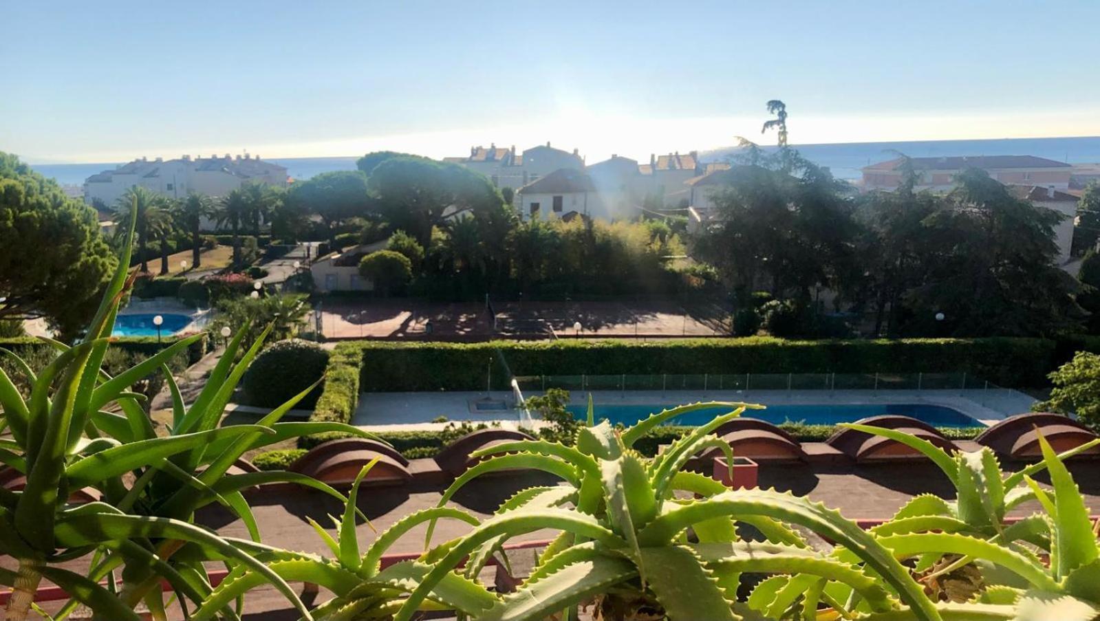 Antibes Secured Parc Velusine With Private Parking, Terrace, Pools And Tennis Courts. Ngoại thất bức ảnh